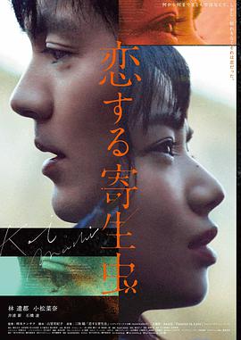 夏日回声作品封面